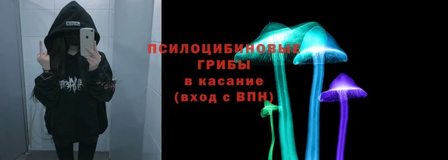 spice Алексеевка