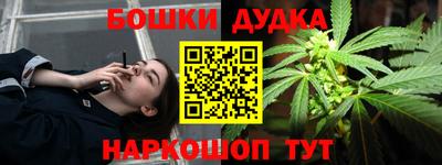 mdpv Новодвинск