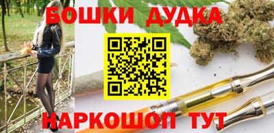 mdpv Новодвинск