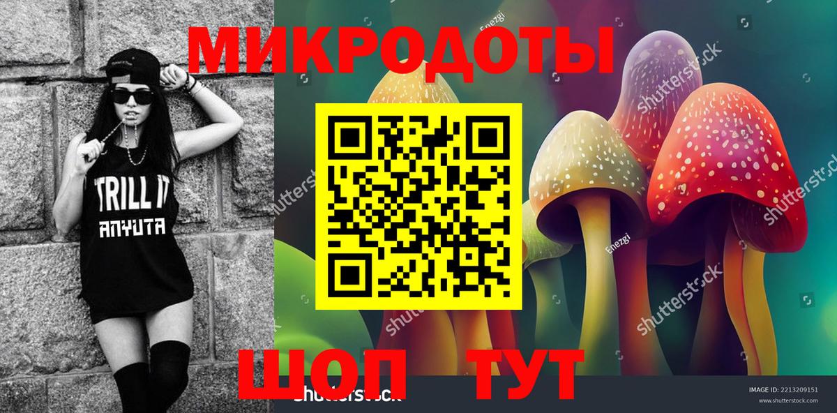 Псилоцибиновые грибы мухоморы Саянск