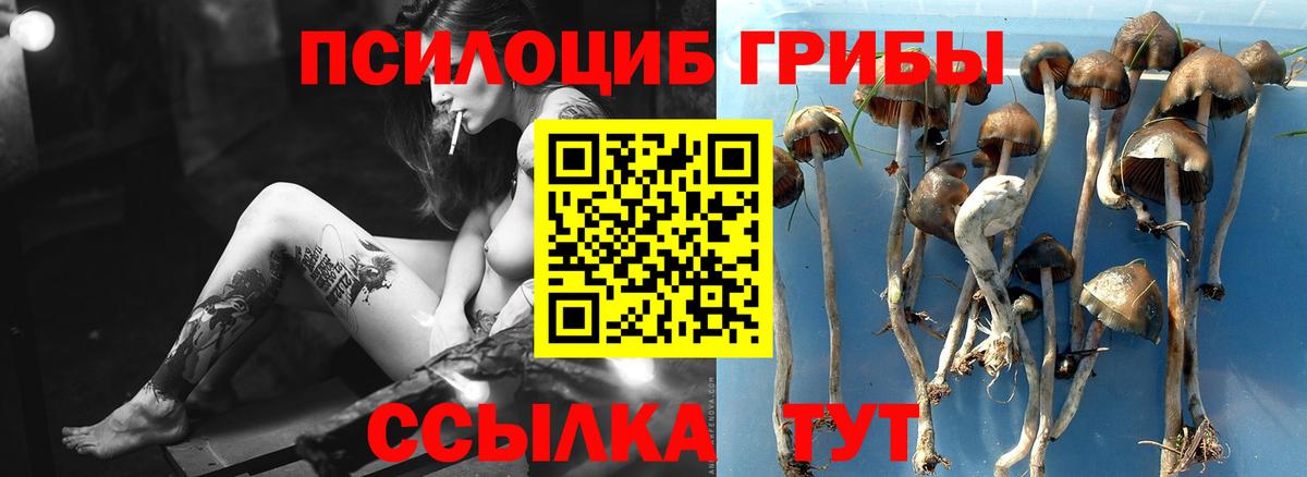 Галлюциногенные грибы Magic Shrooms  Галлюциногенные грибы мухоморы  Вход с VPN  Саянск 